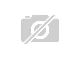 Dobermann 4 Monate Jung mit Top Abstammung